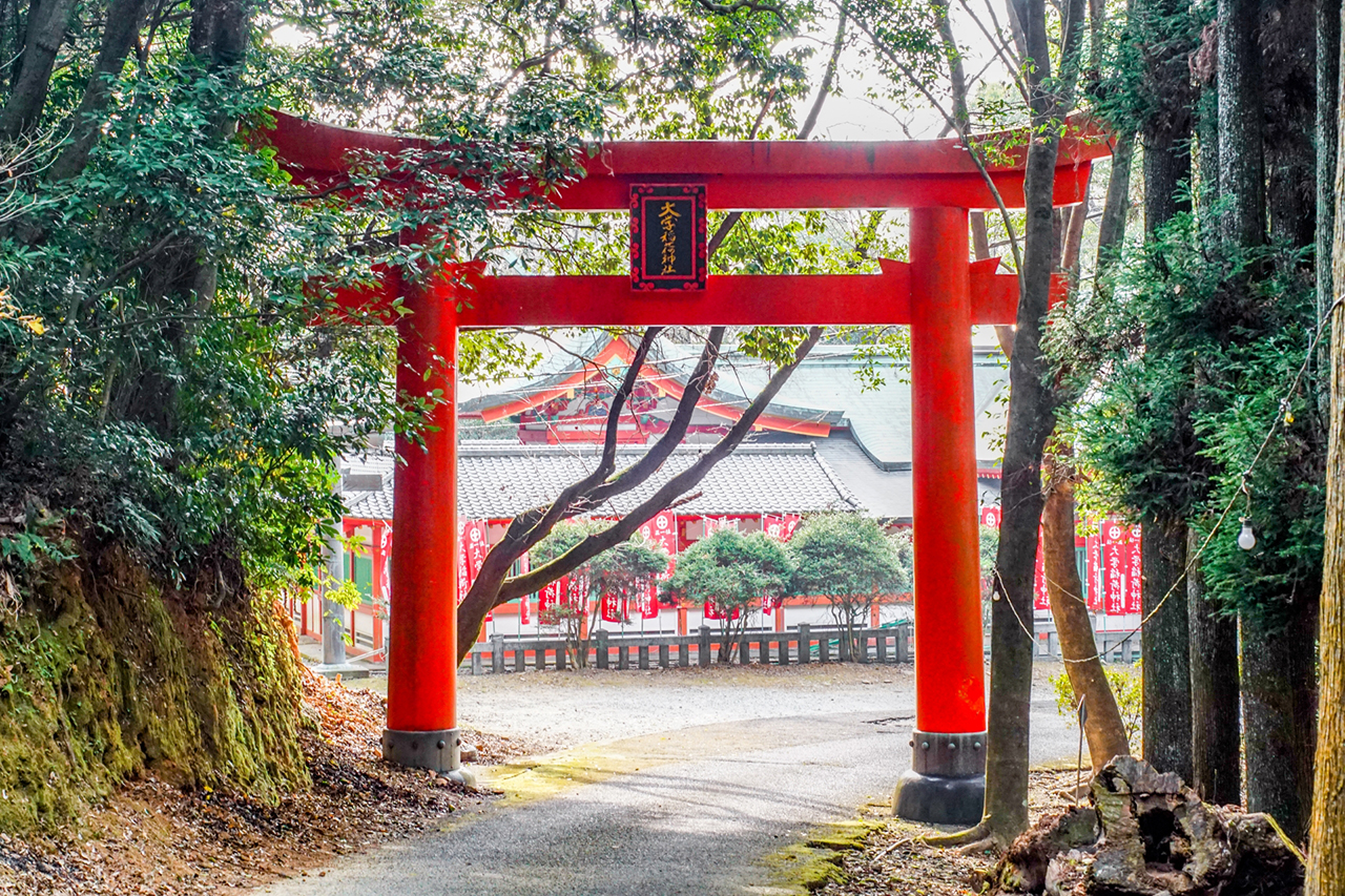 大学稲荷神社 境内鳥居