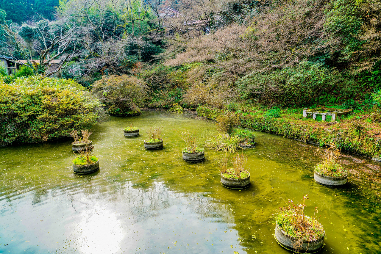 御手洗池