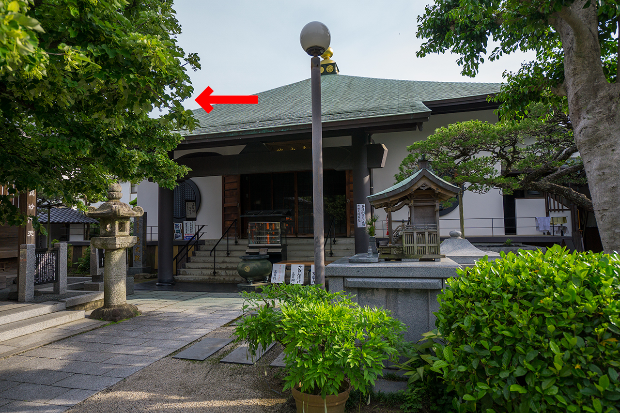 恵光院の社殿と菩提樹