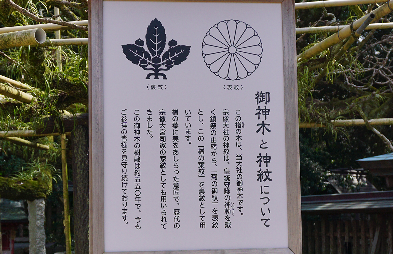 御神木と神紋の案内版