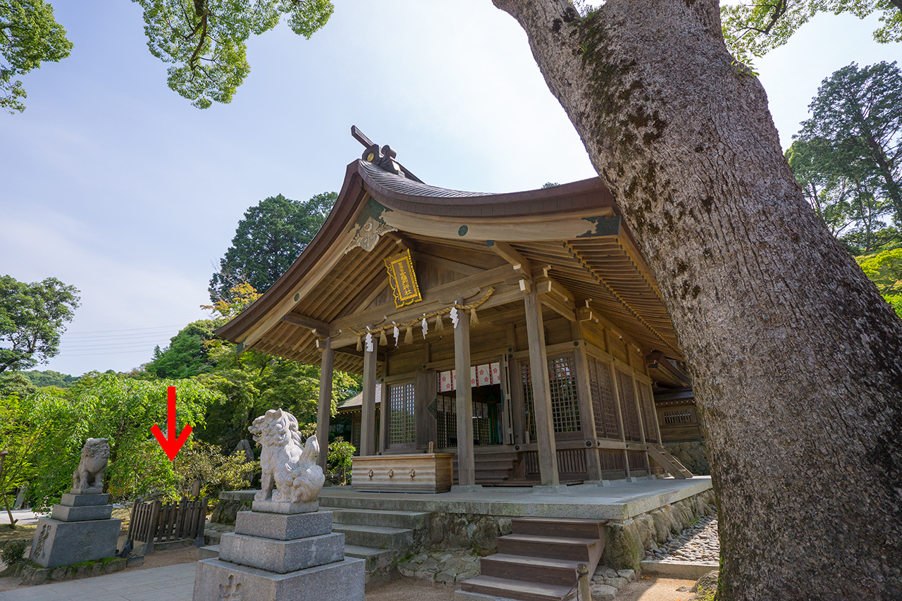 竈門神社 水鏡の場所