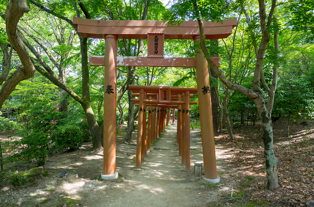 竈門神社 式部稲荷社 千本鳥居
