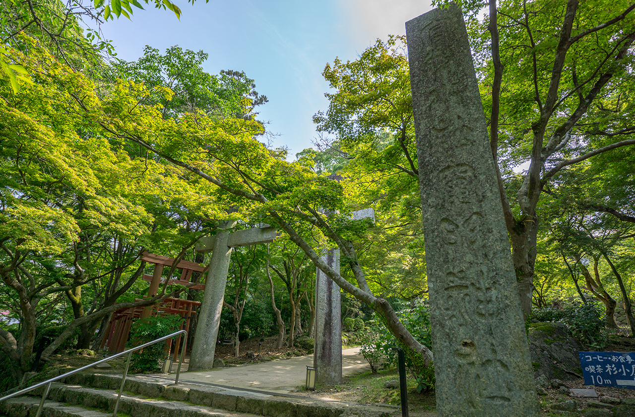 竈門神社 社号標と鳥居