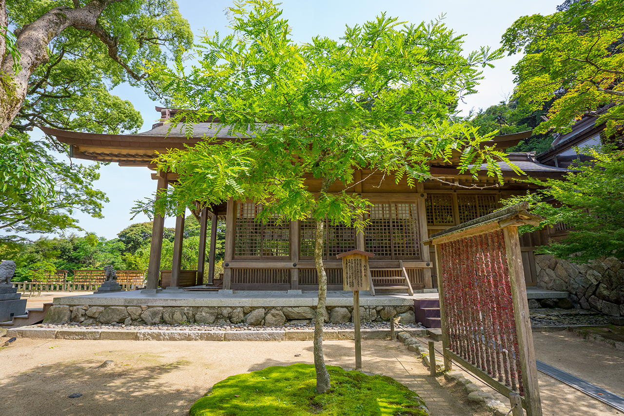 竈門神社 再会の木