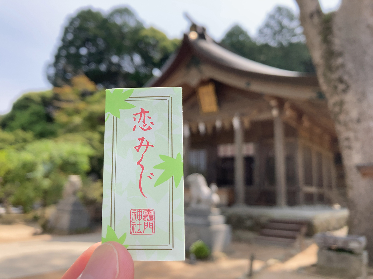 竈門神社 恋みくじ