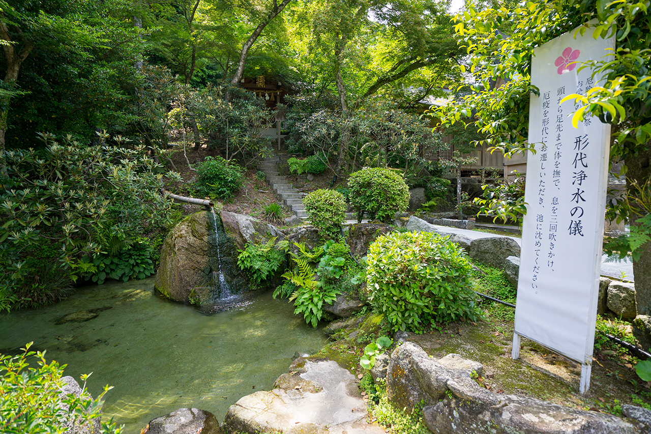 竈門神社 形代浄水の儀