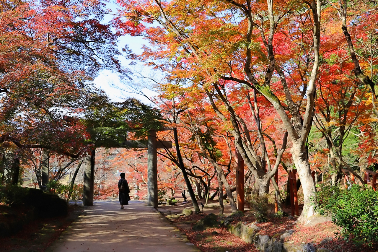 竈門神社 紅葉の境内