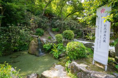 竈門神社 竈門神社 形代浄水の儀