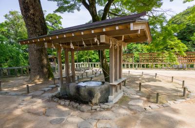 竈門神社 竈門神社 手水舎