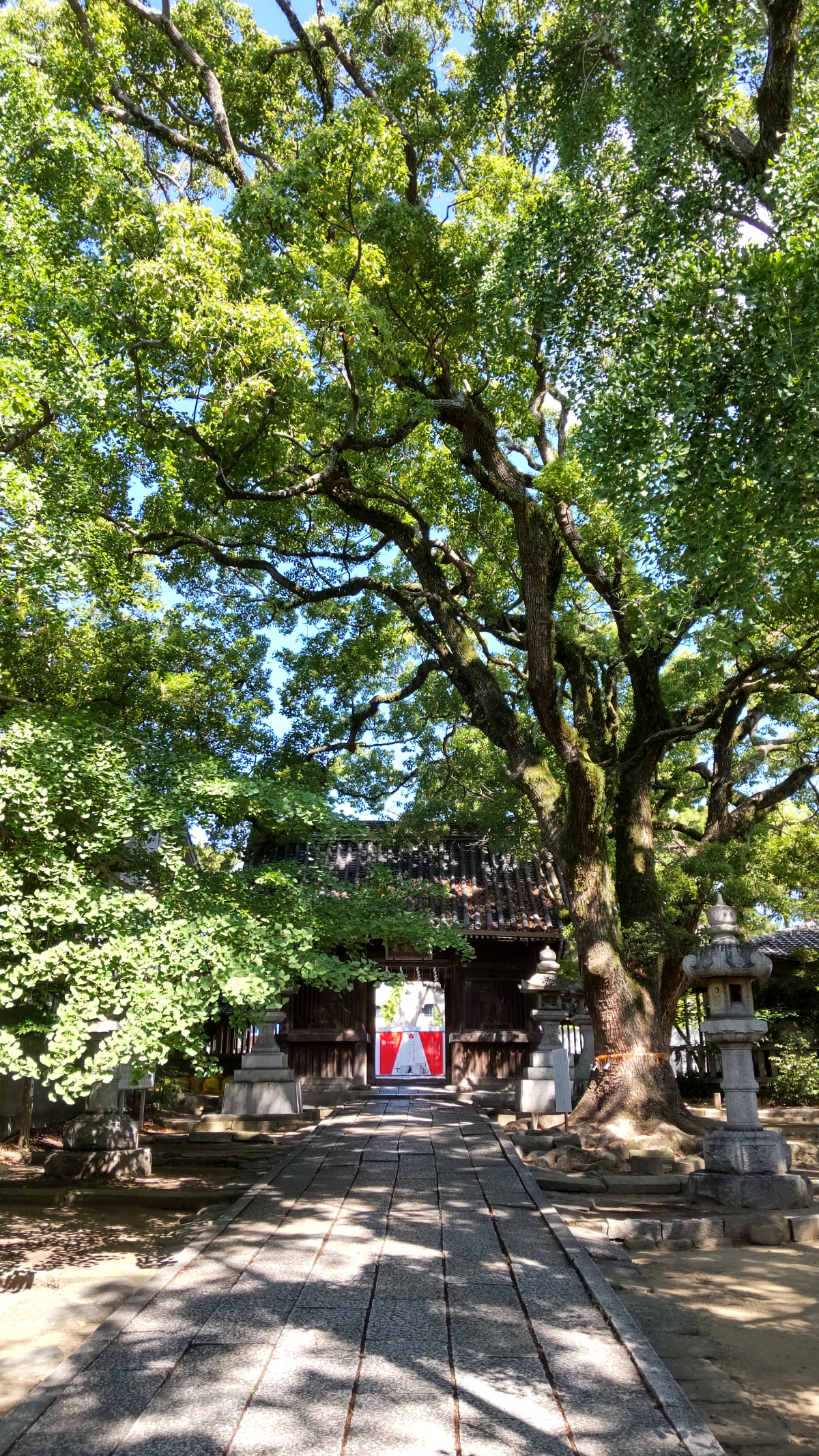 楼門