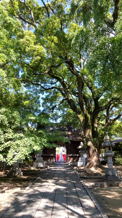 鳥飼八幡宮 楼門