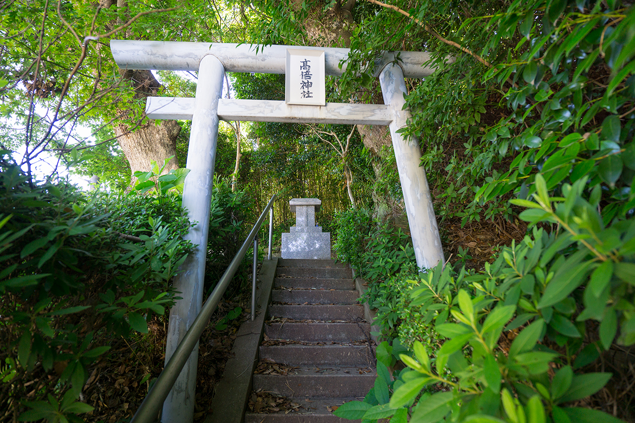高倍神社 鳥居と社殿
