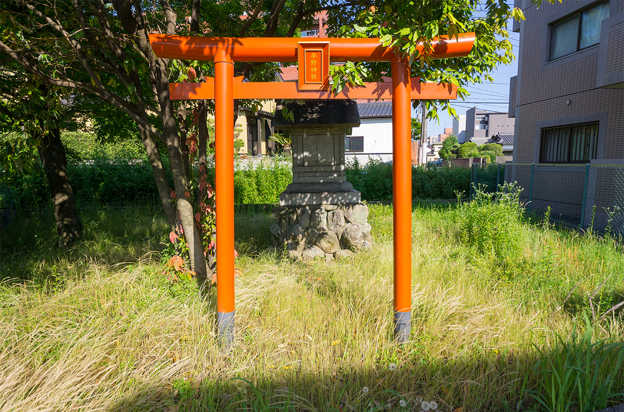 平野神社 鳥居と社殿