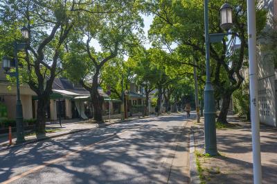 香椎宮 参道・勅使道