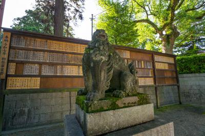 香椎宮 開運の狛犬 阿形