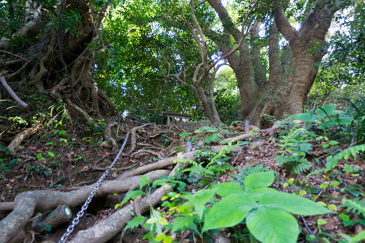 高台に鎮座している織女神社