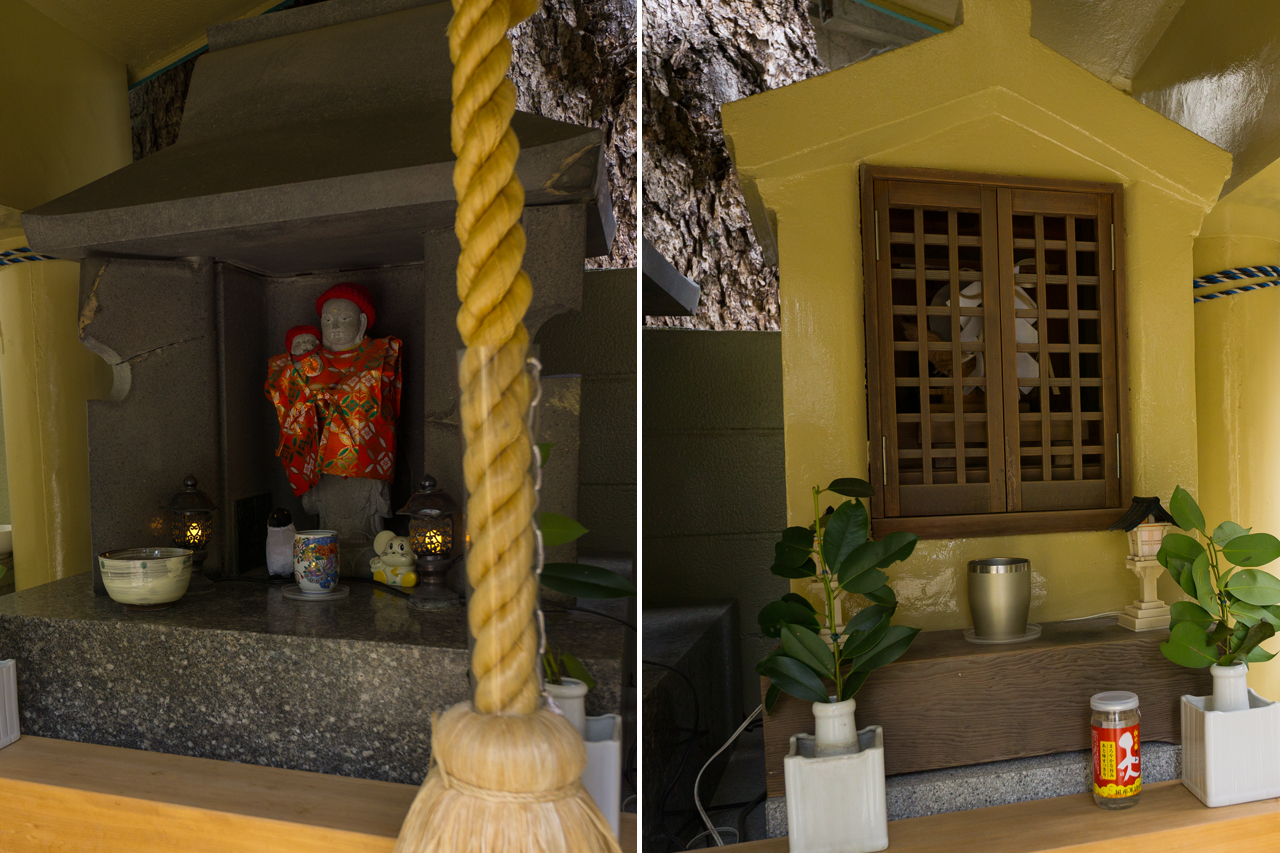 白龍権現社・児安社 社殿