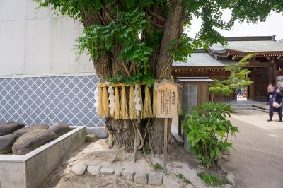 櫛田神社 夫婦銀杏