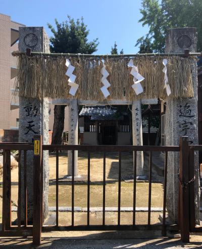 眞根子神社 鳥居と拝殿