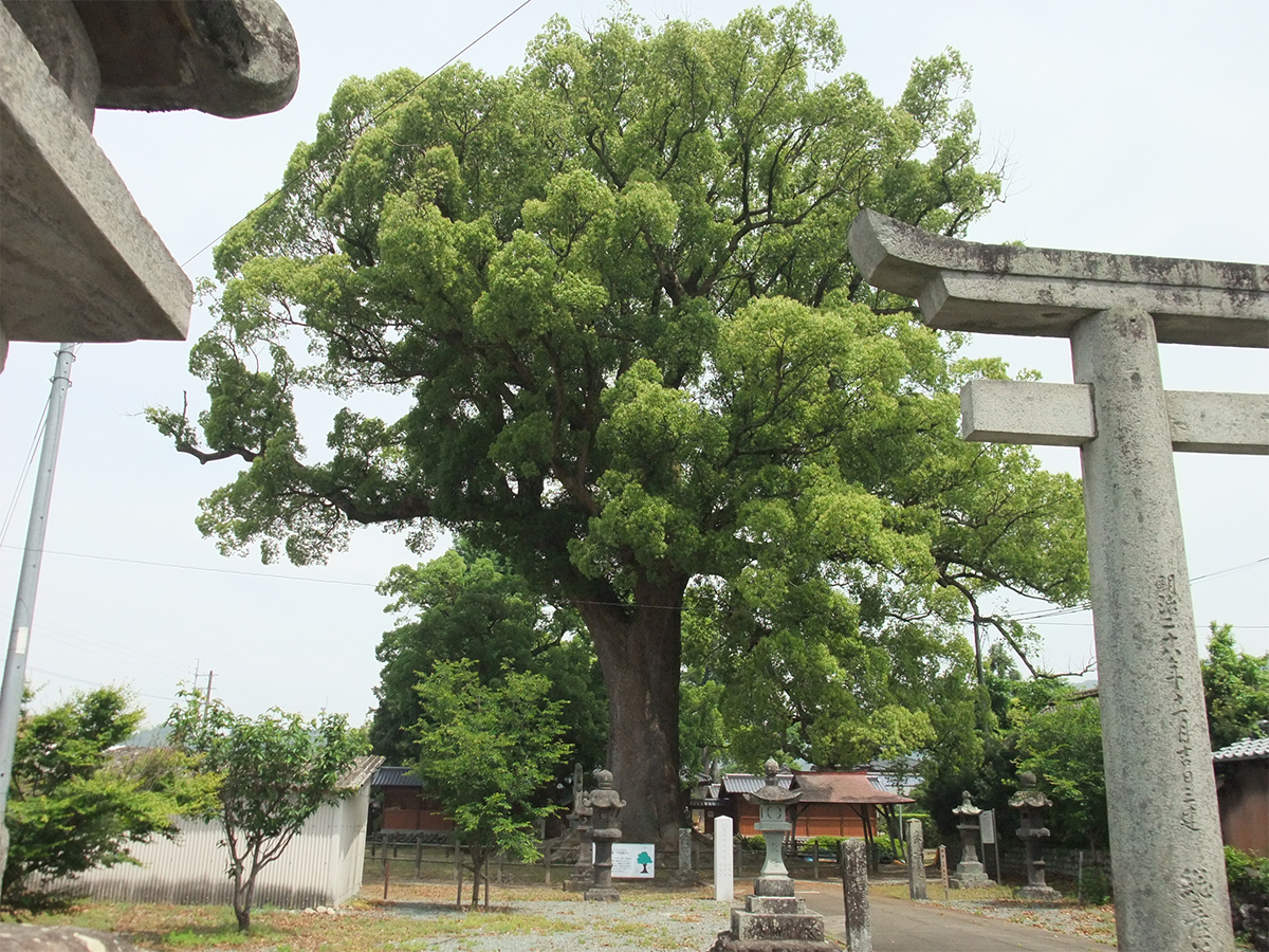 拝殿