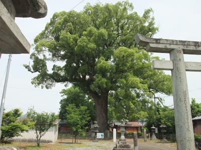 津江神社 拝殿