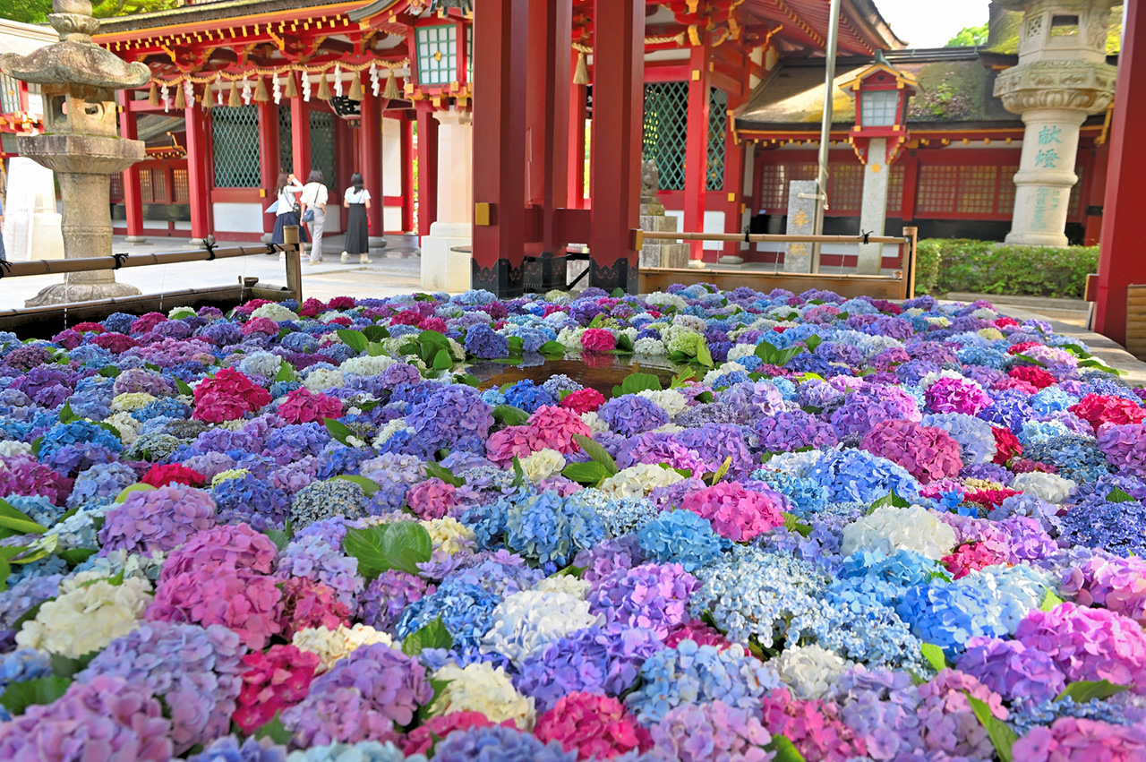 あじさいの花手水