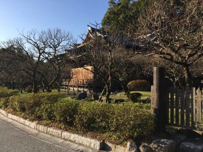 太宰府天満宮 曲水の宴