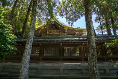 宮地嶽神社 御本殿 横