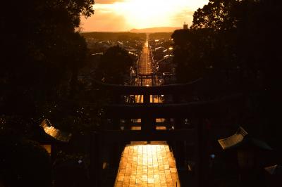 宮地嶽神社 光の道