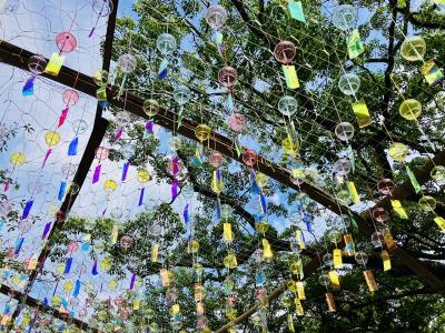 宮地嶽神社 風凛まつりの風鈴 昼