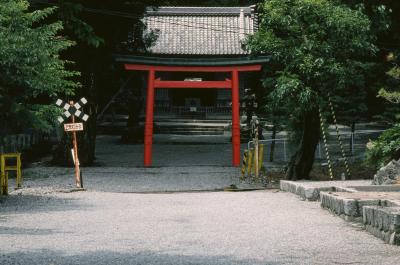 石引神社 鳥居