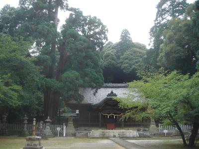 伊富岐神社 拝殿