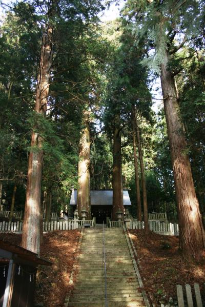 恵那神社 恵那神社の夫婦杉