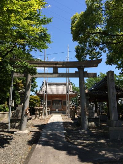 白髭神社 鳥居と拝殿