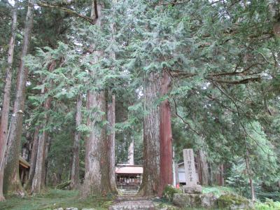 新宮神社 鳥居と社叢