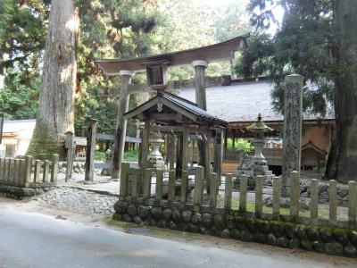 祖師野八幡宮 鳥居と拝殿