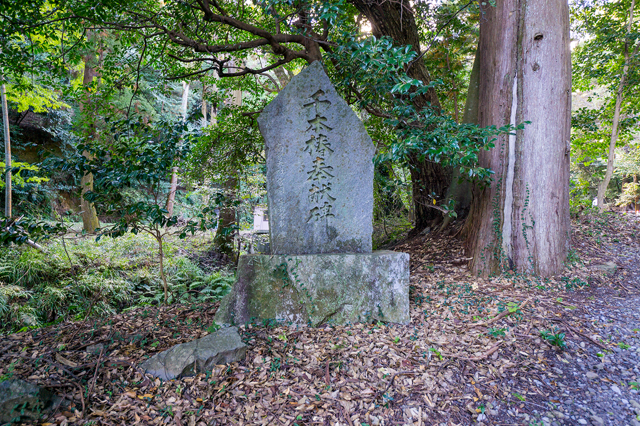 南宮大社 千本椿奉納碑