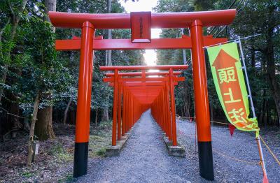 南宮大社 南宮大社 百連鳥居