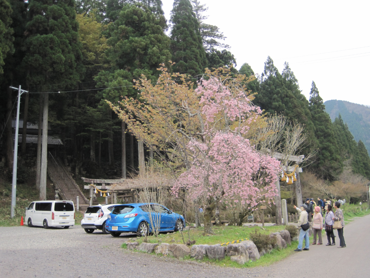 鳥居と参道