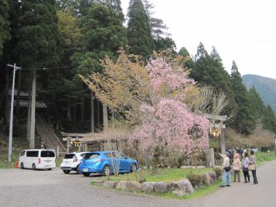 根道神社 鳥居と参道