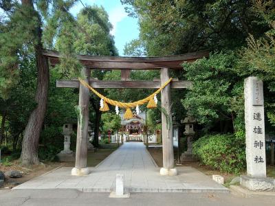 進雄神社 鳥居と拝殿