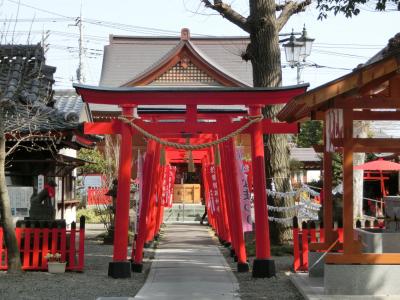於菊稲荷神社 鳥居