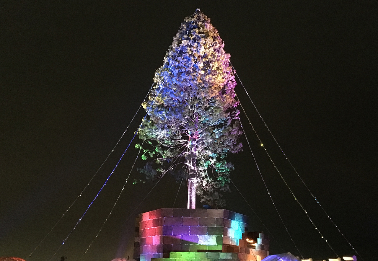 世界一のクリスマスツリー