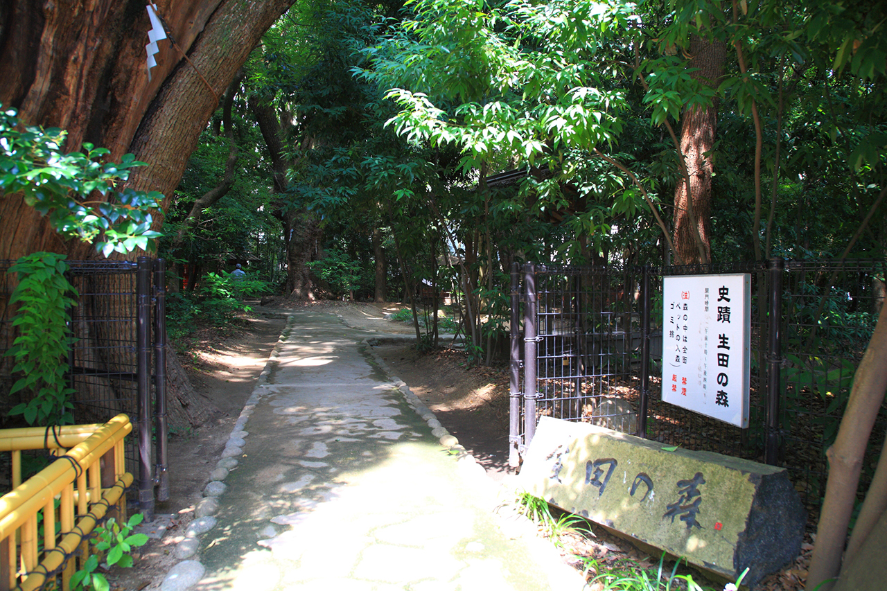 生田神社 生田の森入口
