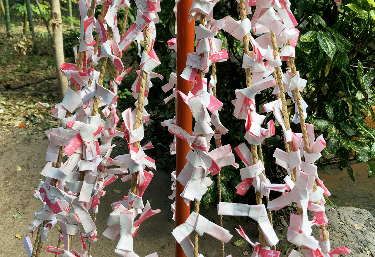 生田神社 水みくじ結び所