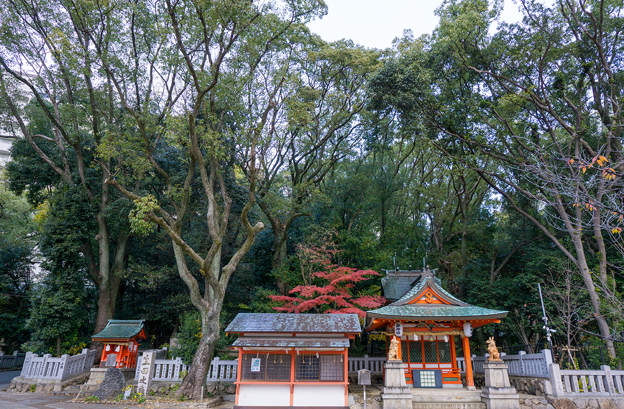 生田神社 境内社の奥に広がる生田の森