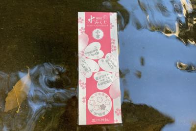 生田神社 生田神社 水に浮かべられた水みくじ