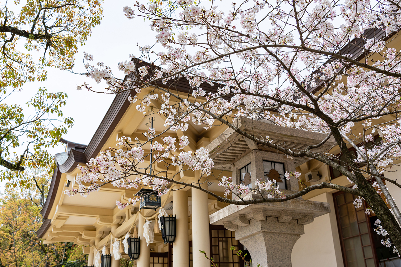 桜と社殿