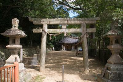 大歳神社 鳥居と拝殿