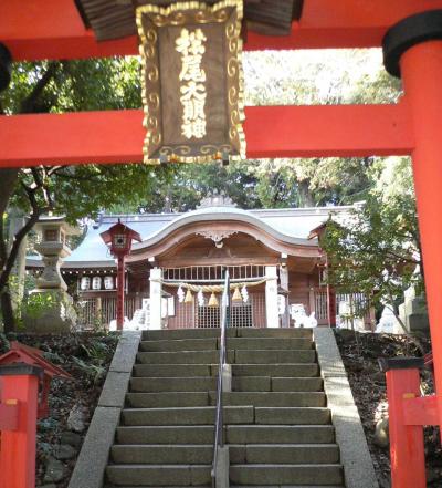 松尾神社 鳥居と拝殿